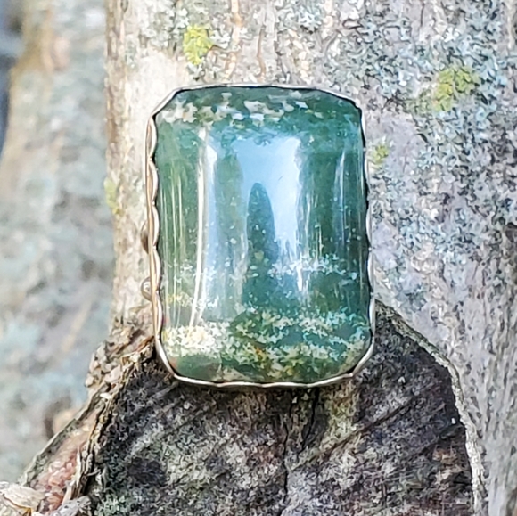 Navajo Sterling Signed TP Large 1" Tree Agate Ring 7 3/4 - Picture 3 of 11